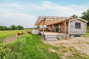 a tiny house with a deck and cows in a field at Naturpur Tinyhouse in Osterrade