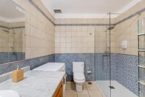 a bathroom with a toilet and a shower at El Ciruelo in Valverde +24 photos