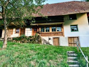 a house with a tree in front of it at Ferienhaus Hederle in Elzach