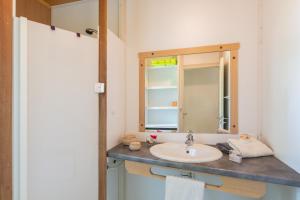a bathroom with a sink and a mirror at Maison Chloé - Mas Lachamp in Gravières