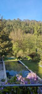 a swimming pool in a garden with flowers at Au fil de l'eau in Chambonas