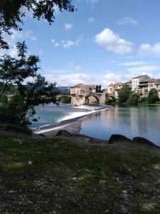 a river with buildings and a bridge in the background at L'appart Millau Centre-Ville - Gite in Millau