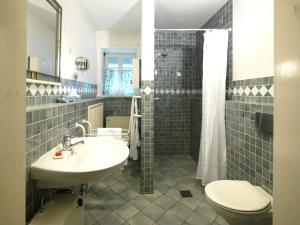 a bathroom with a sink and a toilet and a shower at Historisches Haus Uhlenhorst in Trebel