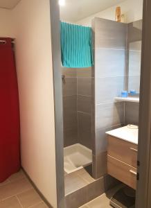 a bathroom with a shower and a sink at Appartement Roc Sol I Neou in Puyvalador