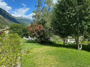 a field of grass with trees and mountains in the background at Maison Maribel in Pré-Saint-Didier +18 photos