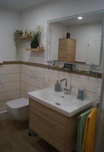 a bathroom with a sink and a toilet and a mirror at Schmidnickels Hof in Schwarzerden