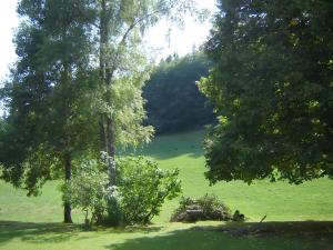 a field with trees and a bench in the middle at Gîte Ancien Relais De Poste in Les Rousses