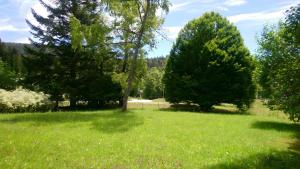 a field of grass with trees in the background at Gîte Ancien Relais De Poste in Les Rousses +10 photos