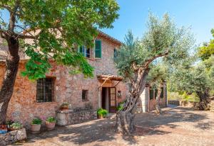 an old stone house with trees in front of it at Sóller Es Cocó in La Figuera