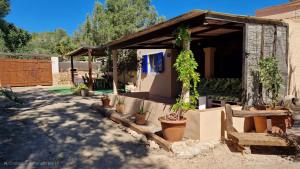 a small house with potted plants in a yard at Casita in Illes Balears +6 photos