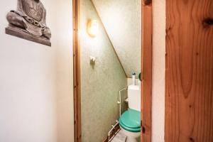a bathroom with a green toilet in a room at Chalet 6p Classique - Les Gentianes in Verchaix +14 photos