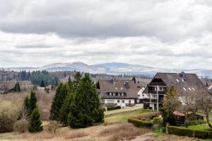 a house on a hill with mountains in the background at Gemütliche Fewo im schönen Harz in Braunlage