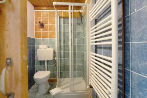 ein kleines Badezimmer mit Toilette und Dusche in der Unterkunft Acciuga House in Biassa