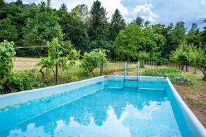 a blue swimming pool in a yard with trees at Apartment Villa Irma in Levico Terme