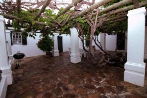 a courtyard with a tree in a building at De Kothuize 166 in Graaff-Reinet
