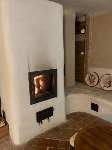 a fireplace in a living room with a fire place at Gite les 4 Saisons in Ombre