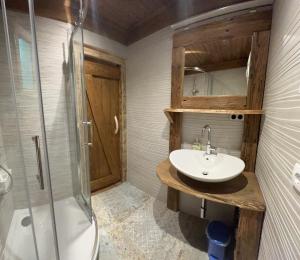 a bathroom with a sink and a shower at Haus Sonnenschein in Dranske +47 photos