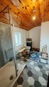a bathroom with a shower and a toilet at Tigh Stobbian in Lionel