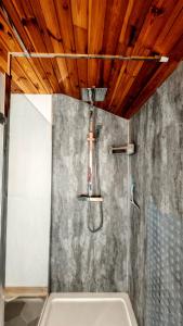 a shower in a bathroom with a ceiling with wood at Tigh Stobbian in Lionel