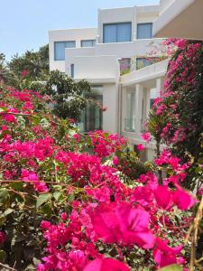 ein Strauß rosa Blumen vor einem Gebäude in der Unterkunft The Lead Hotel in Freetown