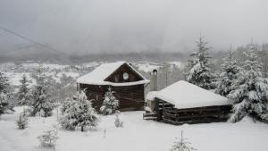 una cabaña con nieve encima en Perlyna Krasiyi, en Vyshka