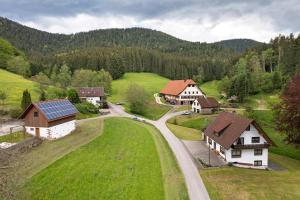 an aerial view of a village with houses and a road at Sulzerhof in Bad Rippoldsau-Schapbach