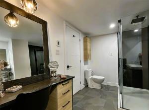 a bathroom with a sink and a mirror and a toilet at Aubergélit in Saint-Jean-Port-Joli