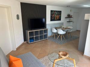 a living room with a television and a cat sitting on a chair at Sonnenhang in Sigmarszell