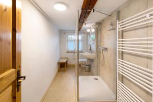 a bathroom with a shower and a sink at Ferienwohnung Gartenfreude in Veckenstedt +19 photos