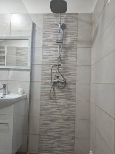 a shower with a shower head in a bathroom at Vidiecky Dom in Mojmírovce
