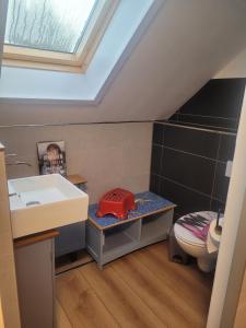 a bathroom with a sink and a toilet at Ferienhaus Schw Agnes in Warin +18 photos