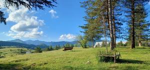 a park bench sitting on a hill in a field at Il Nido di Kora in Pescasseroli