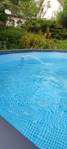 a large blue swimming pool with blue water at Sauerland Alm Winterberg 5 mit Pool in Hallenberg