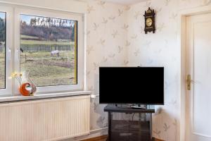 a flat screen tv in a room with a window at Haus am Candelaber in Altenbergen