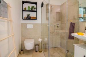 a bathroom with a shower and a toilet at Design Apartment Mettnaublick in Radolfzell am Bodensee +14 photos