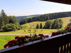 a view of a field with flowers on a balcony at Klausenhof Schonach in Obertal