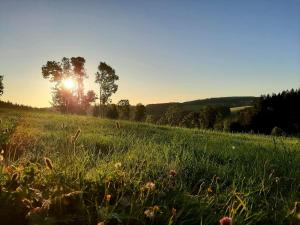 a field of grass with the sun in the background at Klausenhof Schonach in Obertal