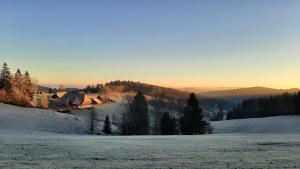 a snow covered field with houses on a hill at Klausenhof Schonach in Obertal