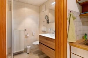 a bathroom with a toilet and a sink at Appartment Bergblick in Bernau im Schwarzwald +76 photos