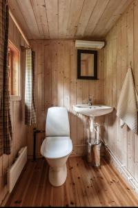 ein Badezimmer mit Toilette und Waschbecken in der Unterkunft Geilo Living in Holo