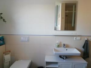 a bathroom with a sink and a mirror at Am Froschteich in Dolgen