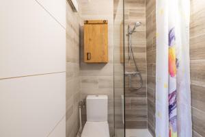 a bathroom with a toilet and a shower at Les Narcisses in Morillon