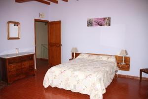 a bedroom with a bed and a dresser and a mirror at Le Mas des Cigales in Avignon +33 photos