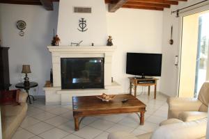 a living room with a fireplace and a cat on a coffee table at Le Mas des Cigales in Avignon