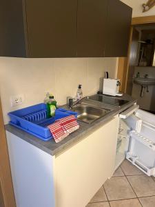 a kitchen with a sink and a blue tray on a counter at App Sonne Nr 15 in Lutago