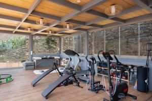 a gym with cardio equipment in a room with wooden ceilings at Blueros - Black Stone Suite in Megas Gialos - Nites