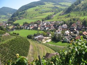 a village in a valley with green hills at Dischhansenhof in Glottertal +17 photos