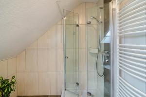 a bathroom with a shower with a glass door at Ferienwohnung Utkiek in Ihlow