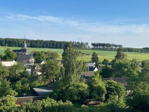 an aerial view of a town with trees and a church at Ferienwohnung Taunusnest in Limbach