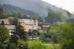 a town in a valley with trees and a mountain at Ansitz Baumannhof Apt Mitte in Falzes